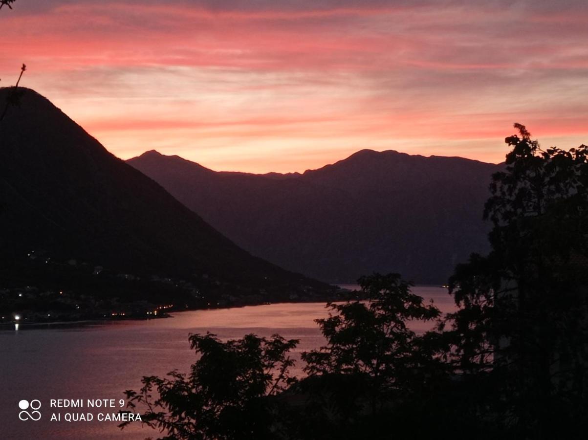 Apartment Dakovic M Kotor