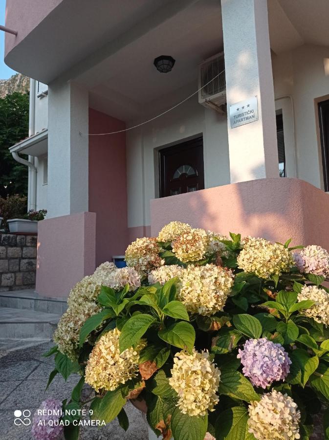 Dakovic M Apartment Kotor
