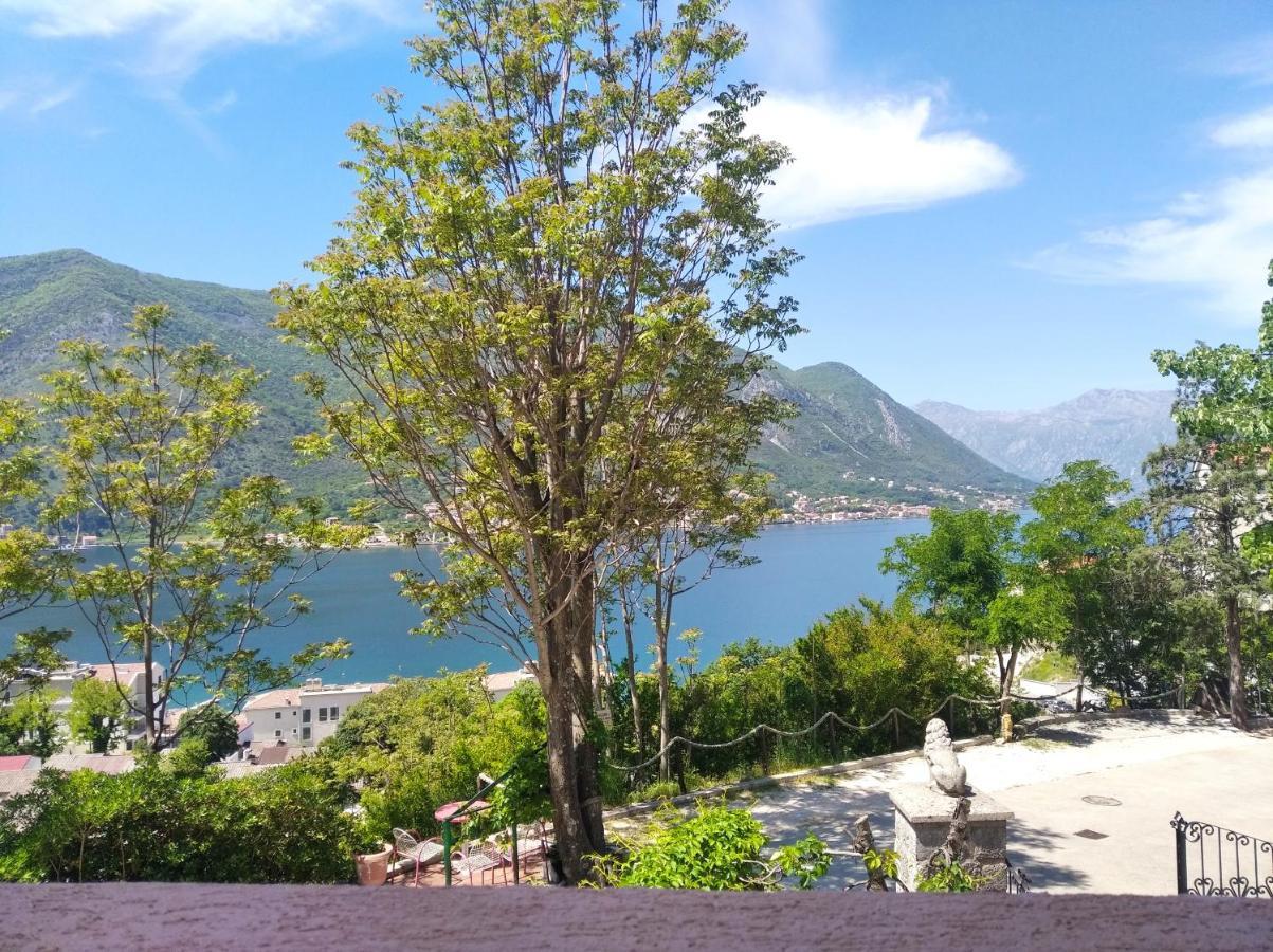 Apartment Dakovic M