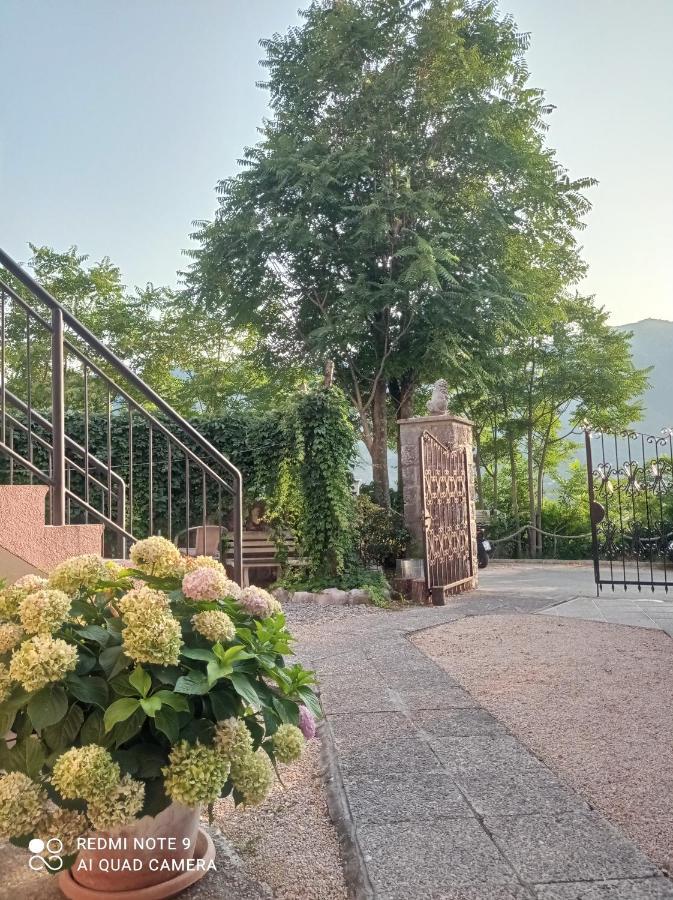 Dakovic M Apartment *