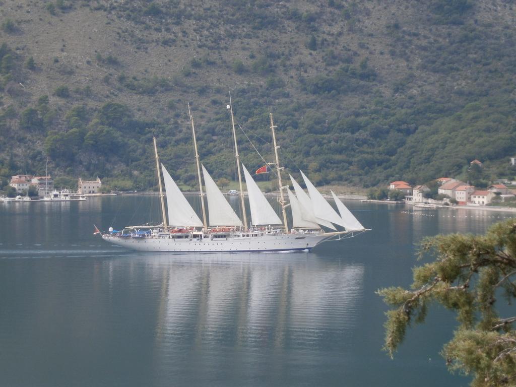 Dakovic M