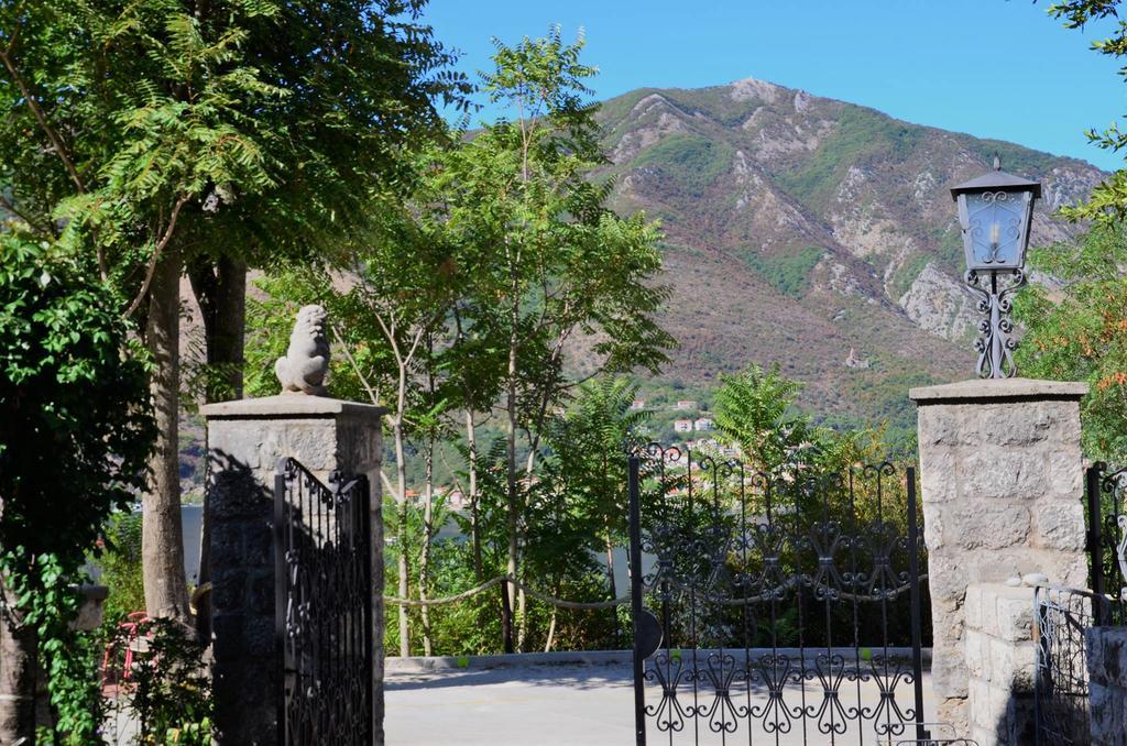 Dakovic M Kotor