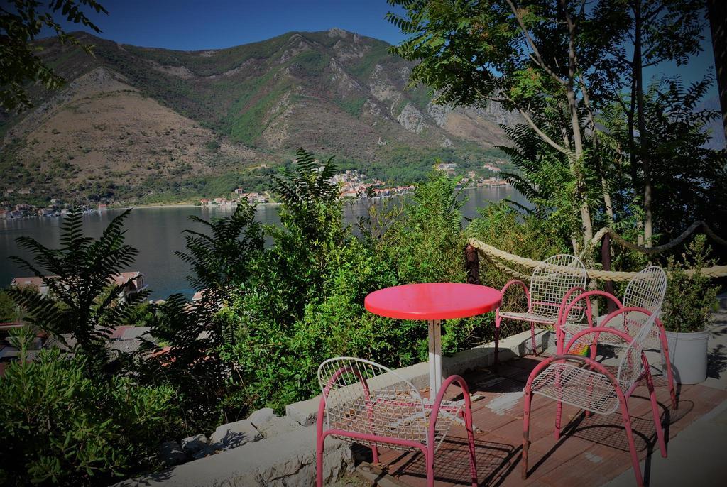 Dakovic M * Kotor