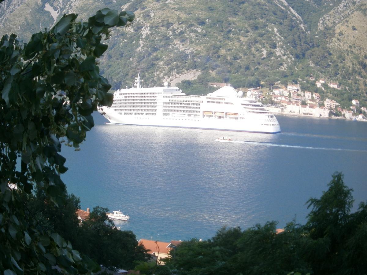 Dakovic M Apartment Kotor